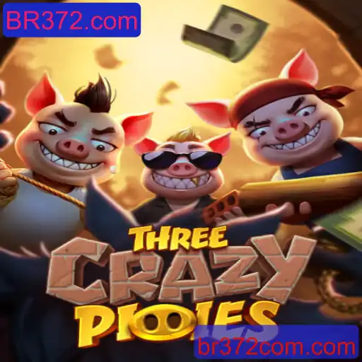 Descubra a Aventura e Estratégia de ThreeCrazyPiggies no BR372.com