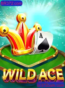 Descubra o Mundo de WildAce: A Nova Sensação no BR372.com